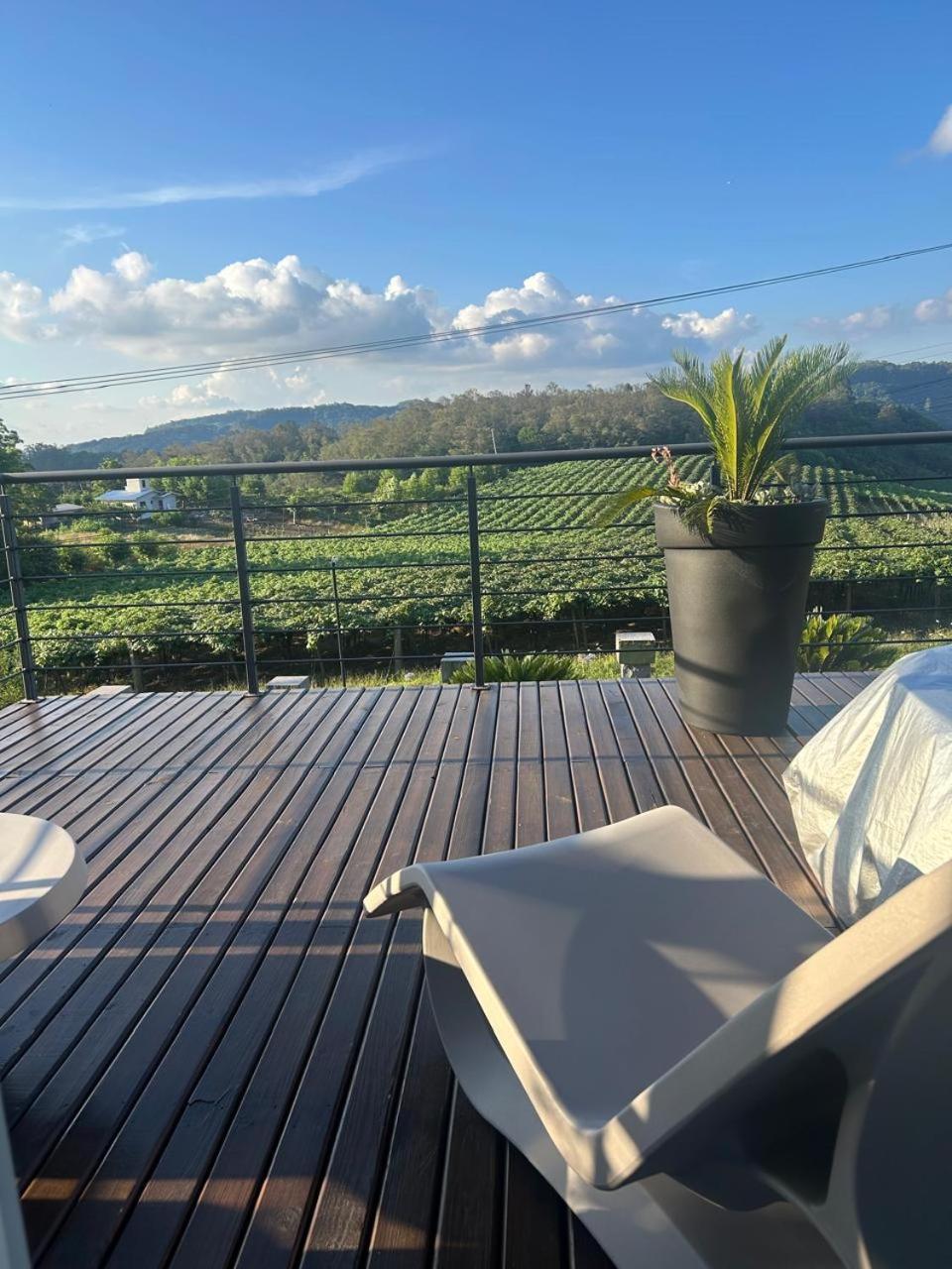 Vista Vigneti Albergo & Vino - Vale Dos Vinhedos Bento Gonçalves Extérieur photo